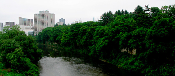 Figura 3 - Sendai, la città-foresta.